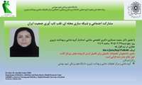 مشارکت اجتماعی و شبکه سازی محله ای، قلب تاب آوری جمعیت ایران